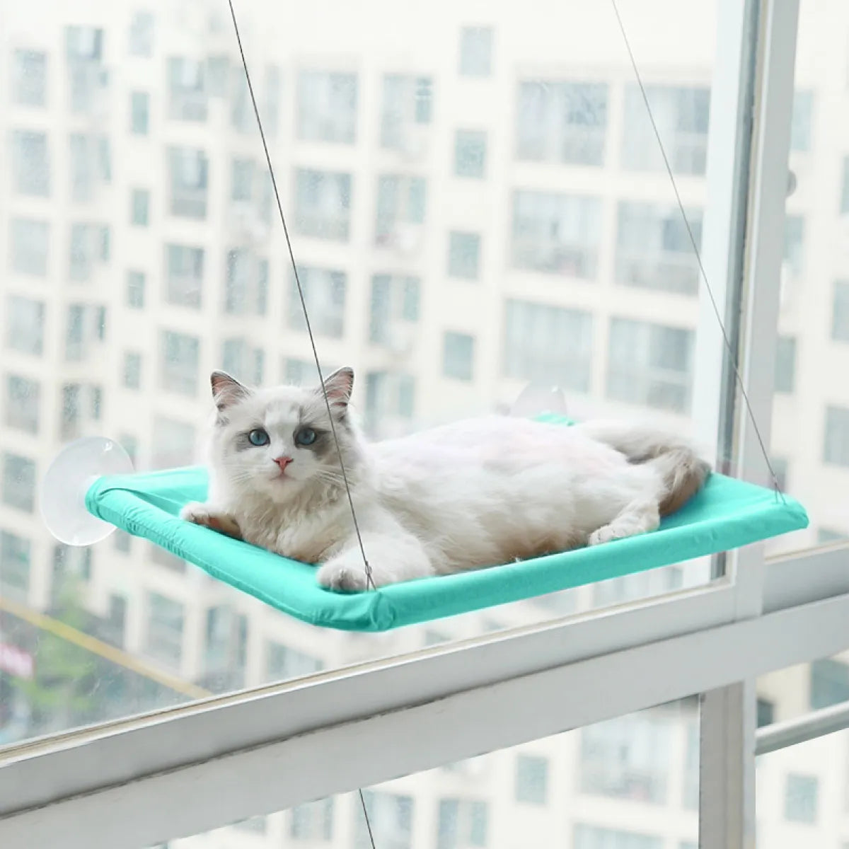 Angled three-quarter view of the Suction Cup Wall-Mounted Window Hammock mounted on a window
