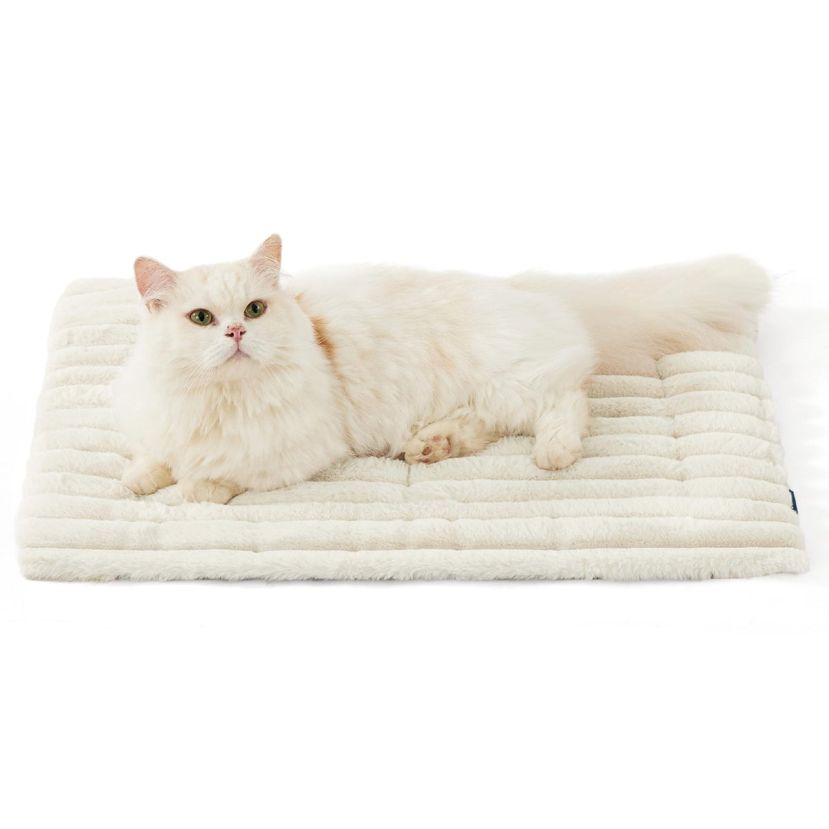 Dog resting on the self-warming mat inside a pet bed