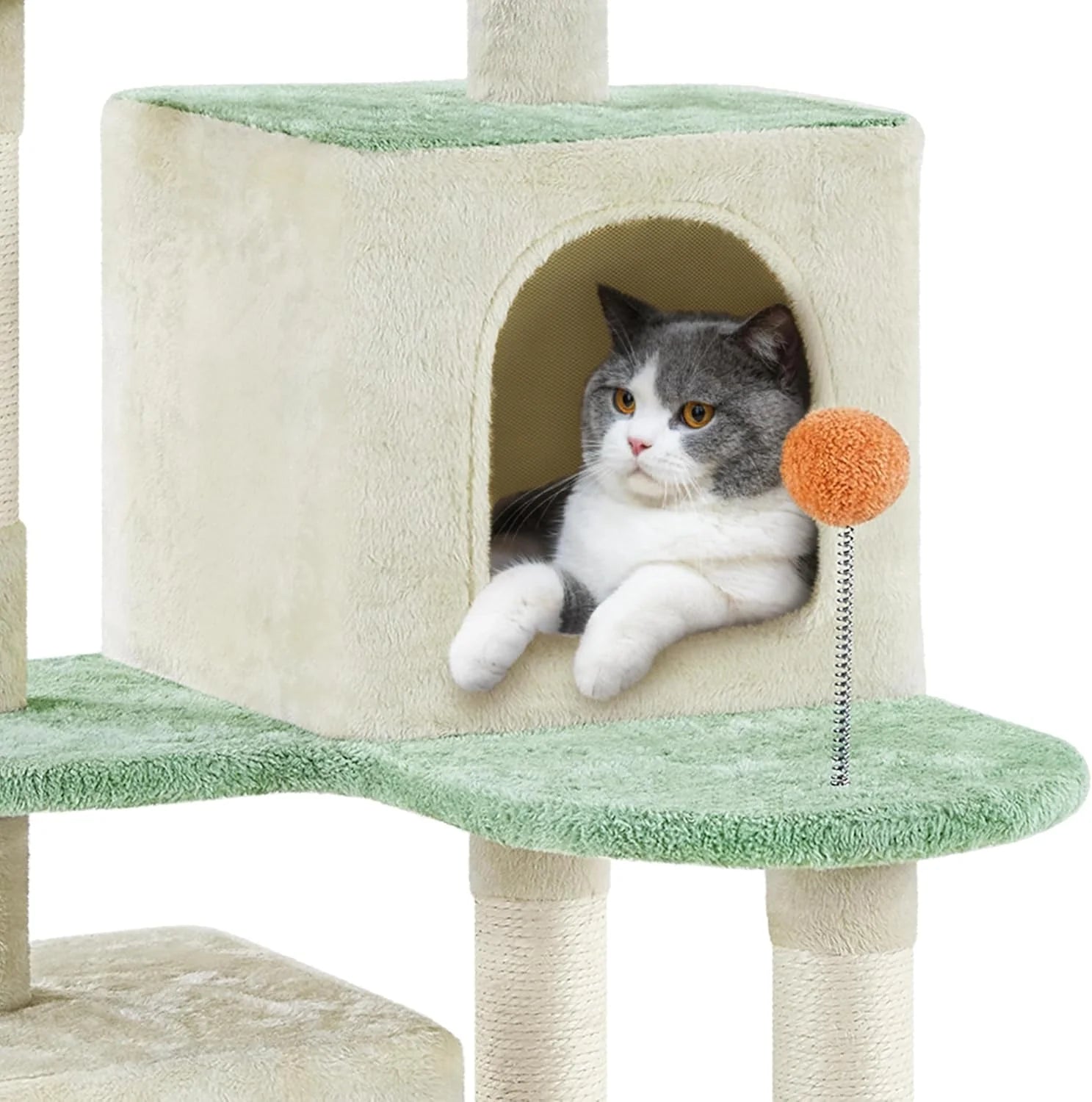 Multi-Level Indoor Cat Tree with Scratching Posts, 2 Condos & Paw Platform
