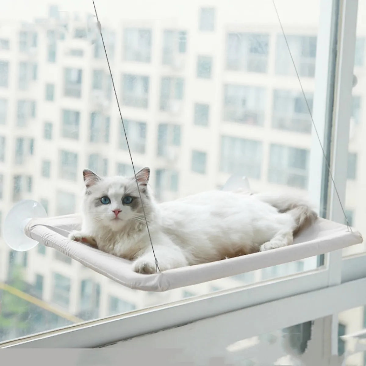 Close-up of the steel wire frame supporting the window hammock