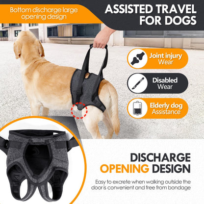 Adjustable Dog Lift Harness - close-up of 3-point adjustable straps