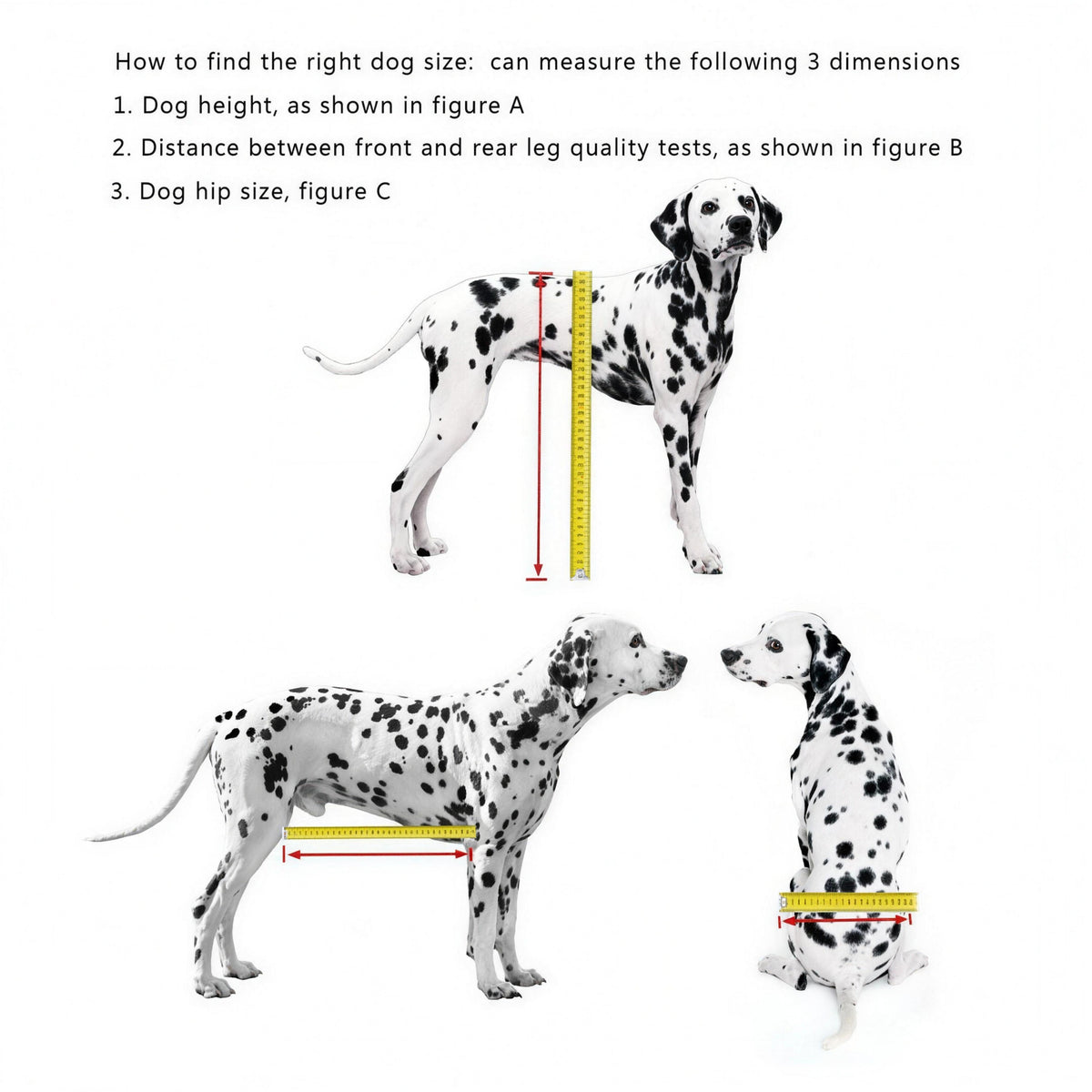 Diagram showing how to measure a dog's body length, front-to-rear leg spacing, and hip circumference for wheelchair sizing