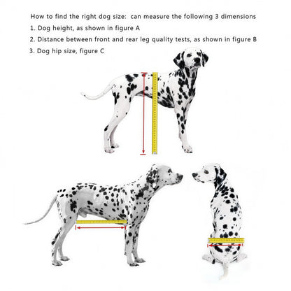 Diagram showing how to measure a dog's body length, front-to-rear leg spacing, and hip circumference for wheelchair sizing