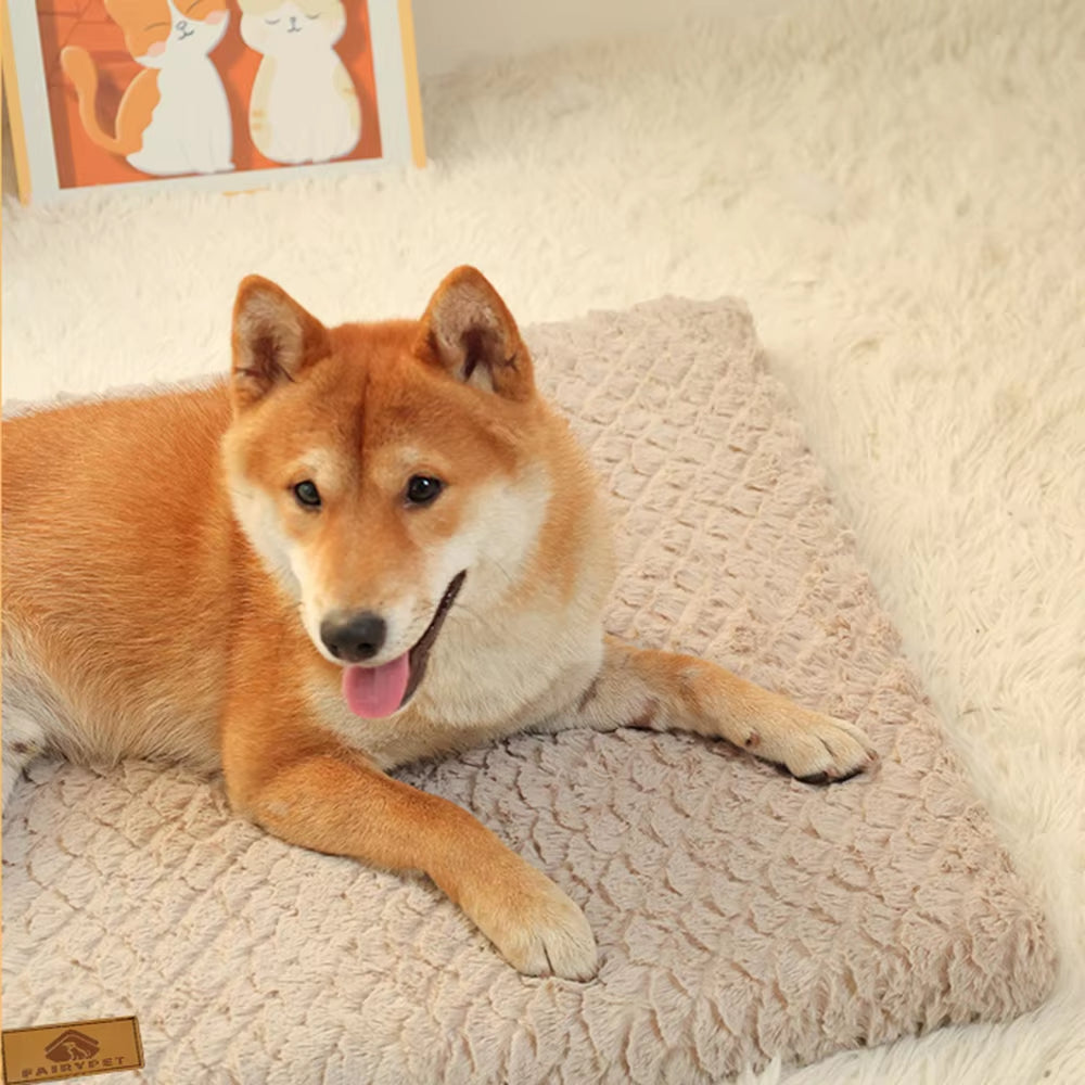 Orthopedic Dog Bed with Removable Washable Cover – M to 2XL