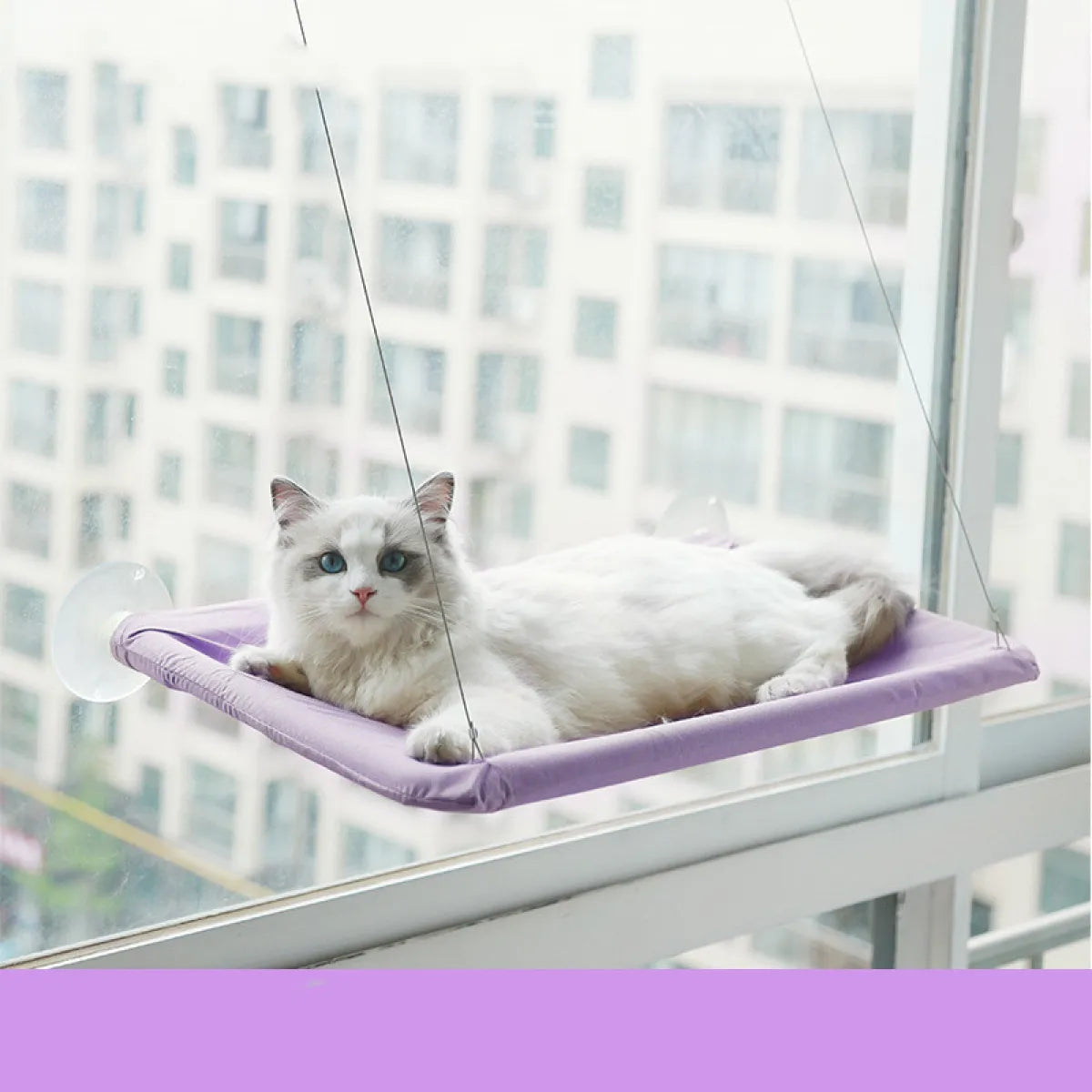 Suction Cup Wall-Mounted Window Hammock in Purple, mounted on a window, front view