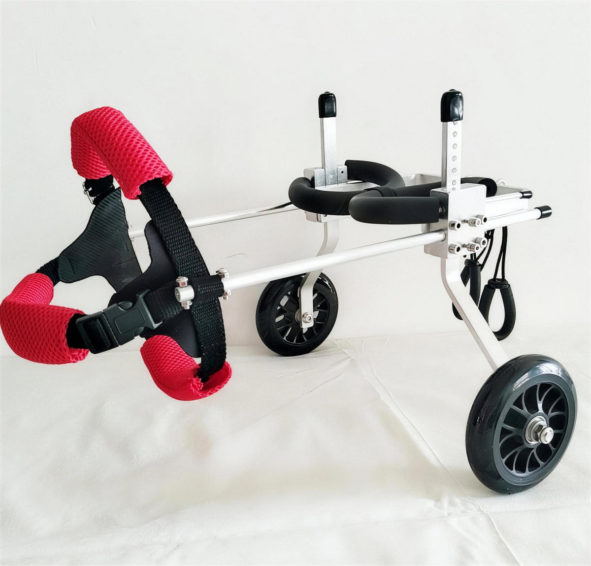 White Pomeranian outdoors in the wheelchair carrying a teddy bear toy, showing the adjustable pin-hole side rail