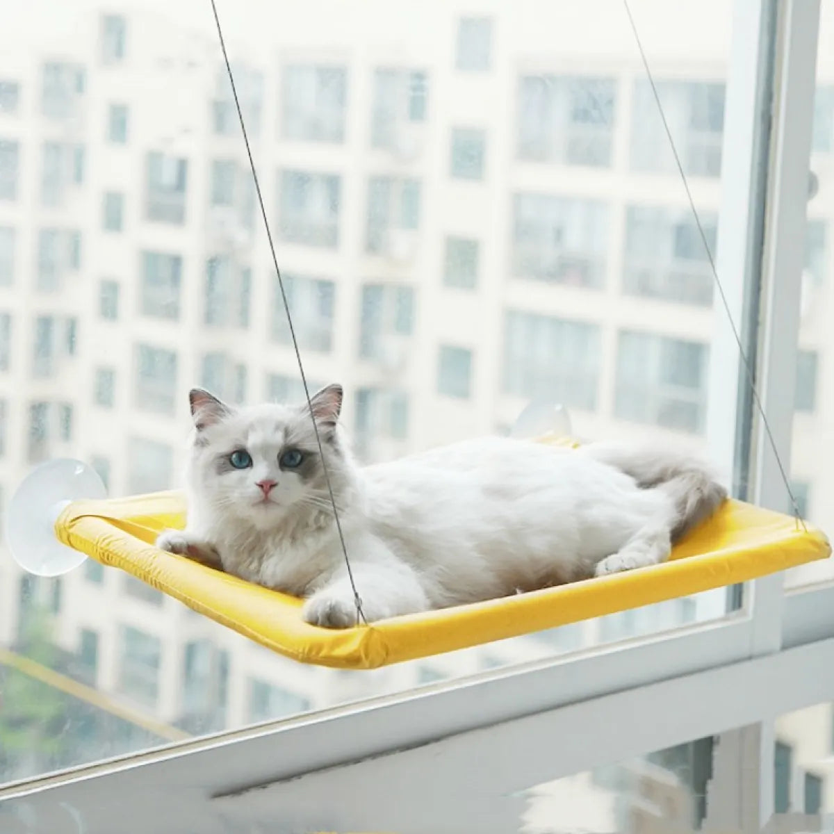Top-down view of the Oxford cloth resting surface on the window hammock