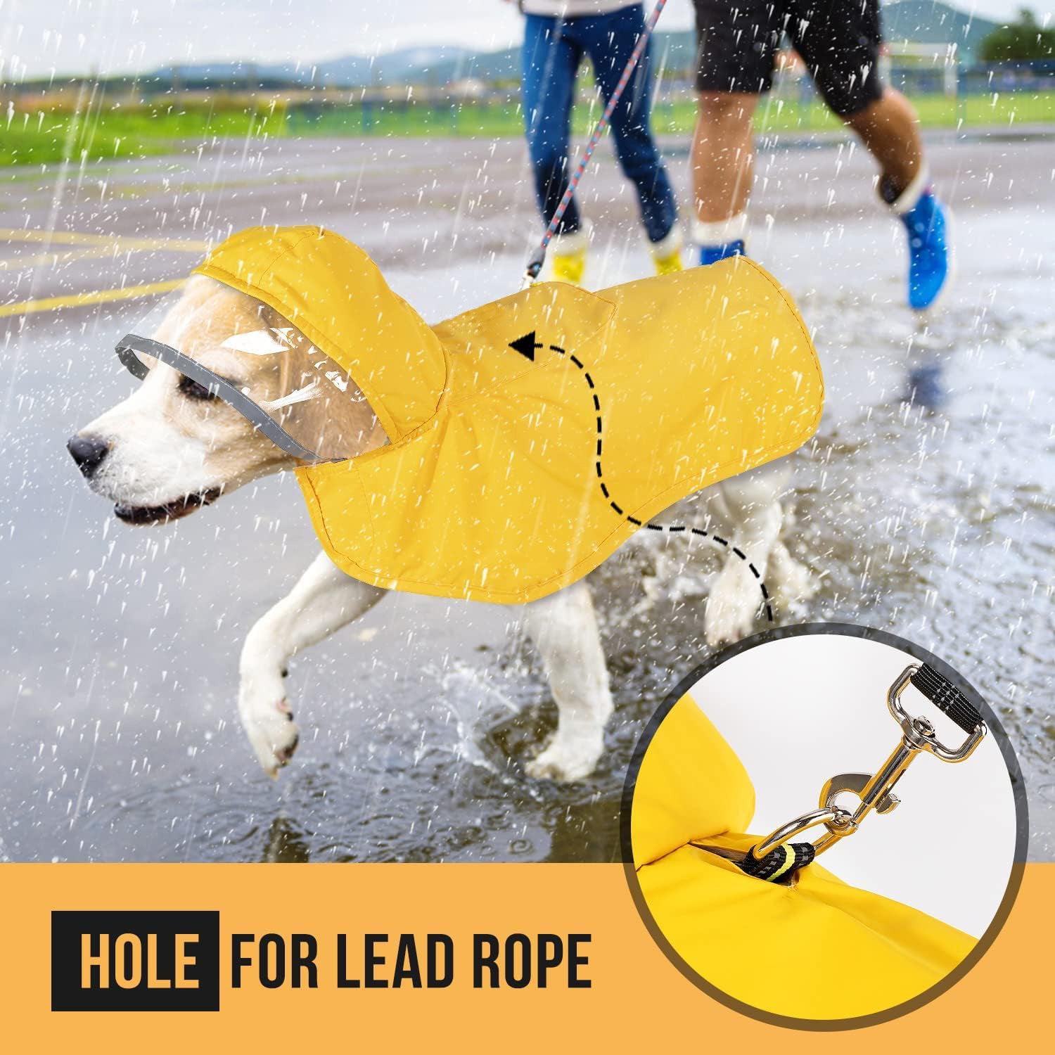 Dog running in the rain wearing the yellow raincoat, with a close-up of the hole for the lead rope and leash clip.
