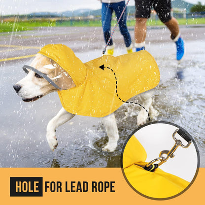 Dog running in the rain wearing the yellow raincoat, with a close-up of the hole for the lead rope and leash clip.
