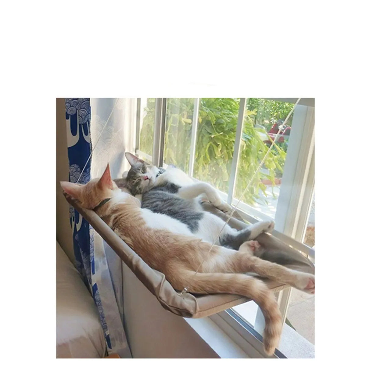 Suction Cup Wall-Mounted Window Hammock mounted at a window, wide view