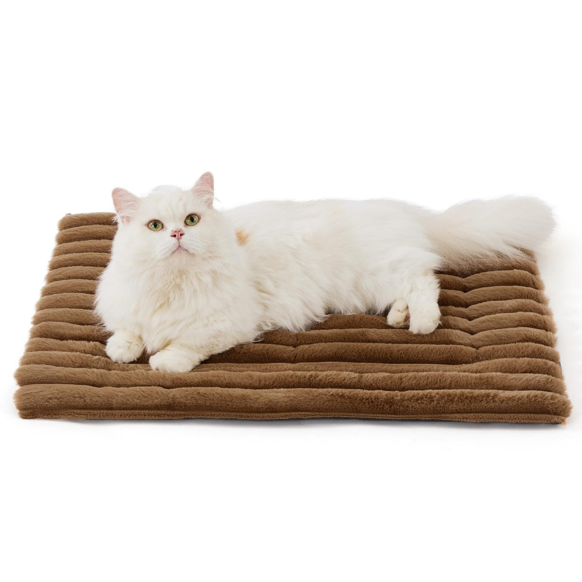 Cat lying on the white self-warming pet mat
