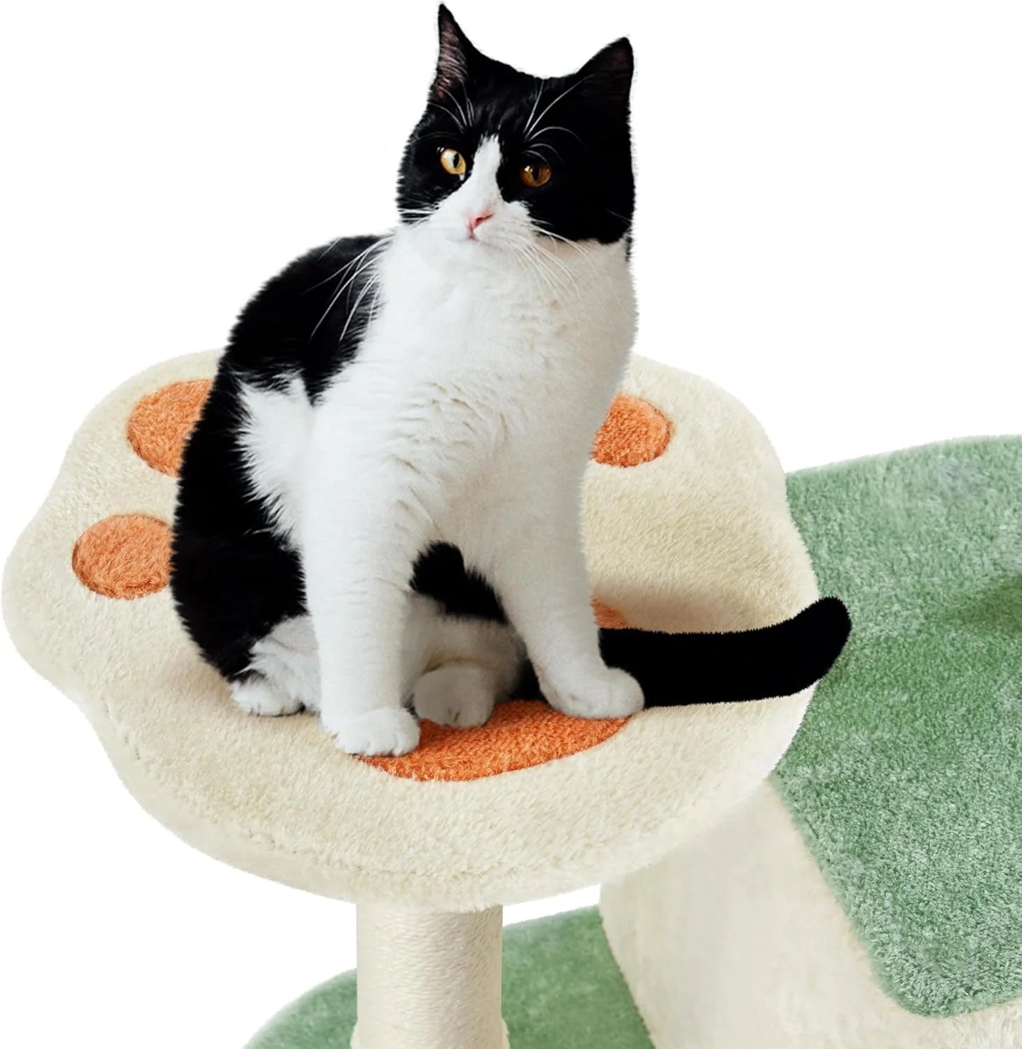 Multi-Level Indoor Cat Tree with Scratching Posts, 2 Condos & Paw Platform
