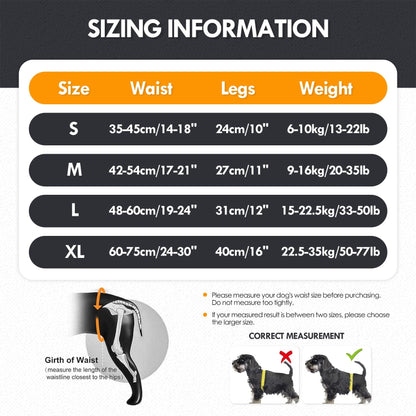 Adjustable Dog Lift Harness - dog being supported with the lift handle