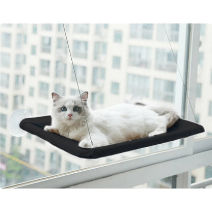 Suction Cup Wall-Mounted Window Hammock shown flat, illustrating its compact 55cm x 35cm size