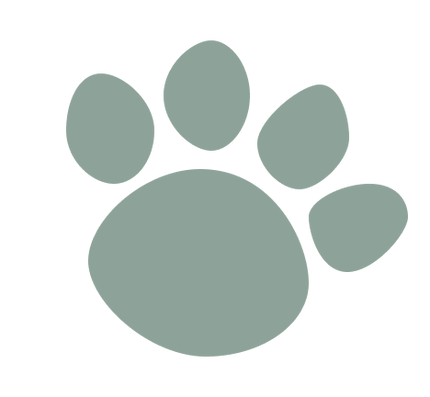 Peek4Paws logo, sage green paw print